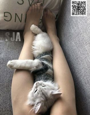 粉嫩av国产一区二区三区_无删减完整版在线观看